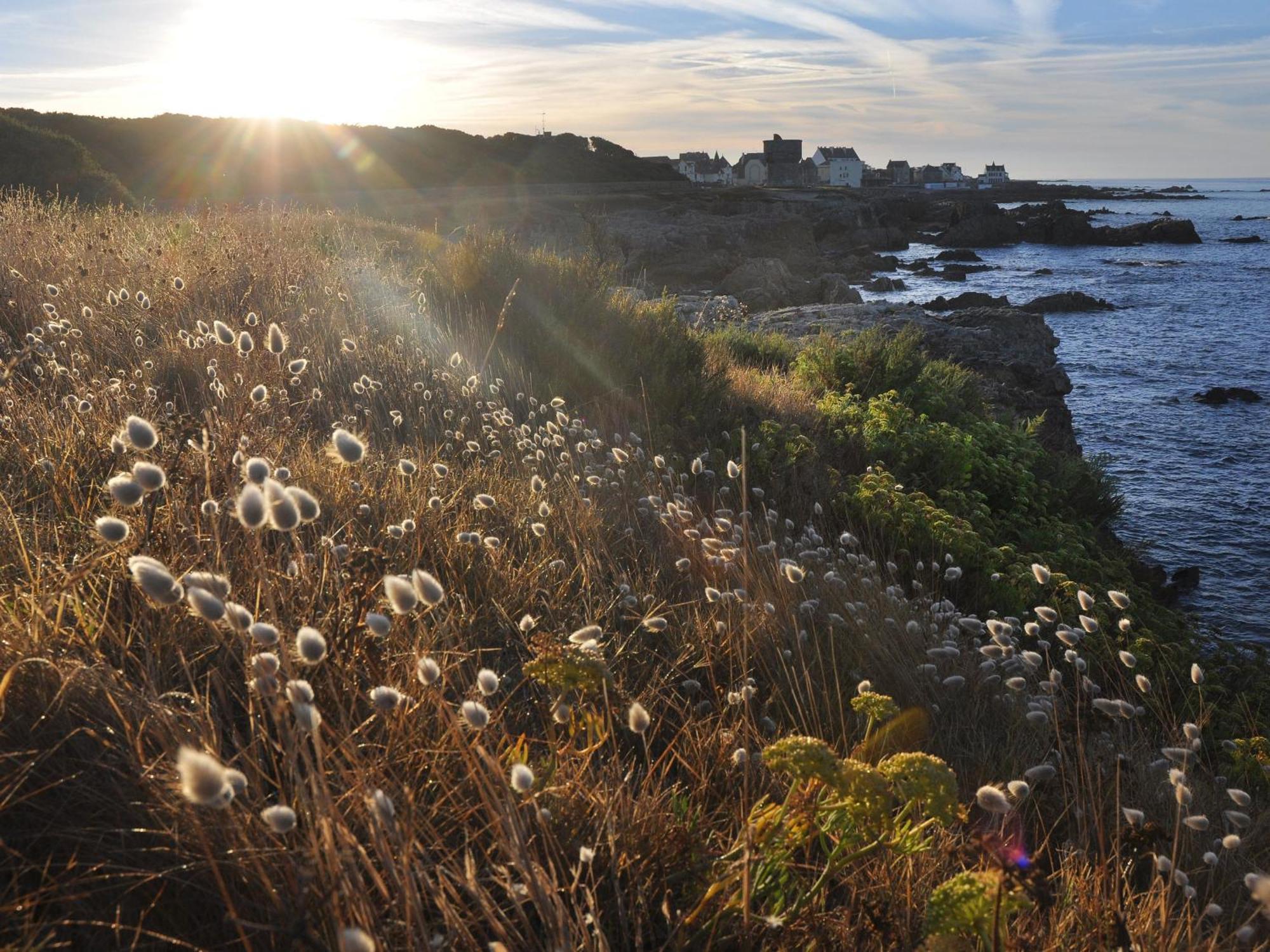 Appartements En Bord De Mer Avec Wifi Et Animal Accepte A Piriac-Sur-Mer - Fr-1-306-943 ภายนอก รูปภาพ